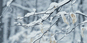 2018���һ��ѩ�����Լs�˿��{(di��o)�Ĝ�ܰ��ʾ